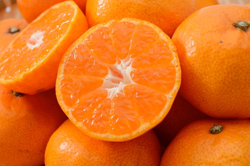 橙（オレンジ：Orange）で魅了するＷＥＢデザイン