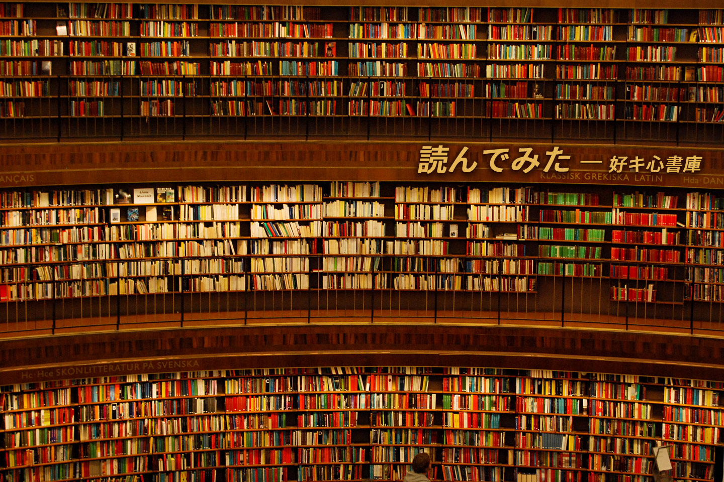 読んでみた―好キ心書庫