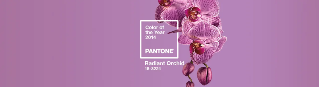 2014年のトレンドカラーはラディアント・オーキッド（Radiant Orchid）